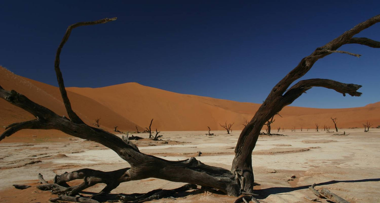Cycle Namibia