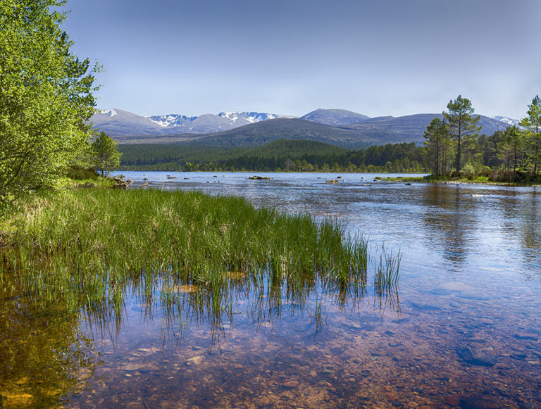 Scotland: Family Adventure