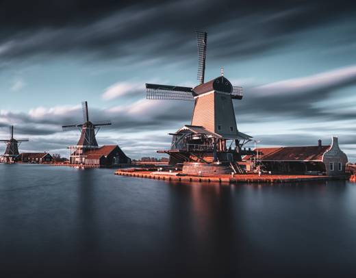 Holland & Belgium in Bloom