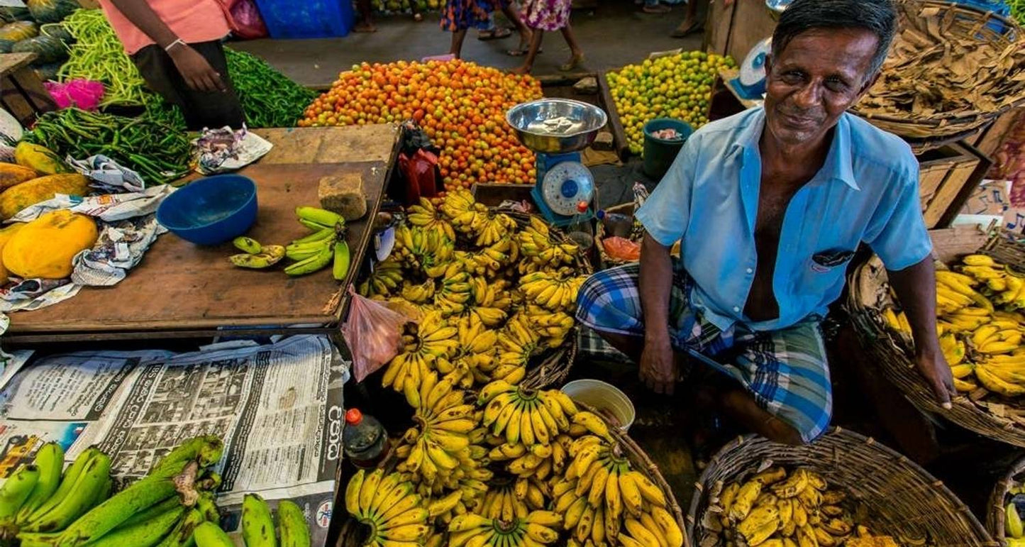 Premium Travel Destinations in Sri Lanka
