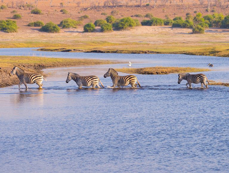 Namibia: Ultimate Honeymoon