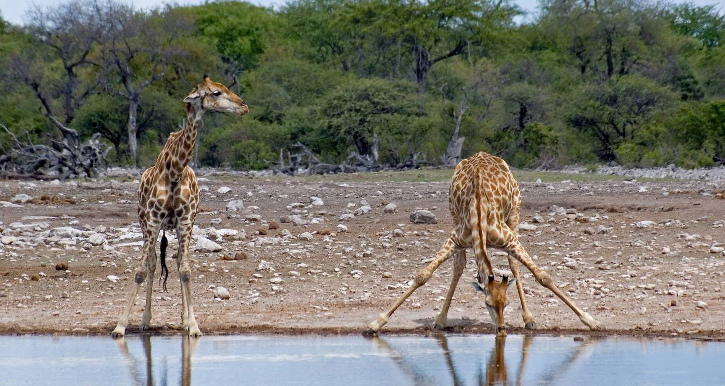 Victoria Falls to Cape Town - Camping