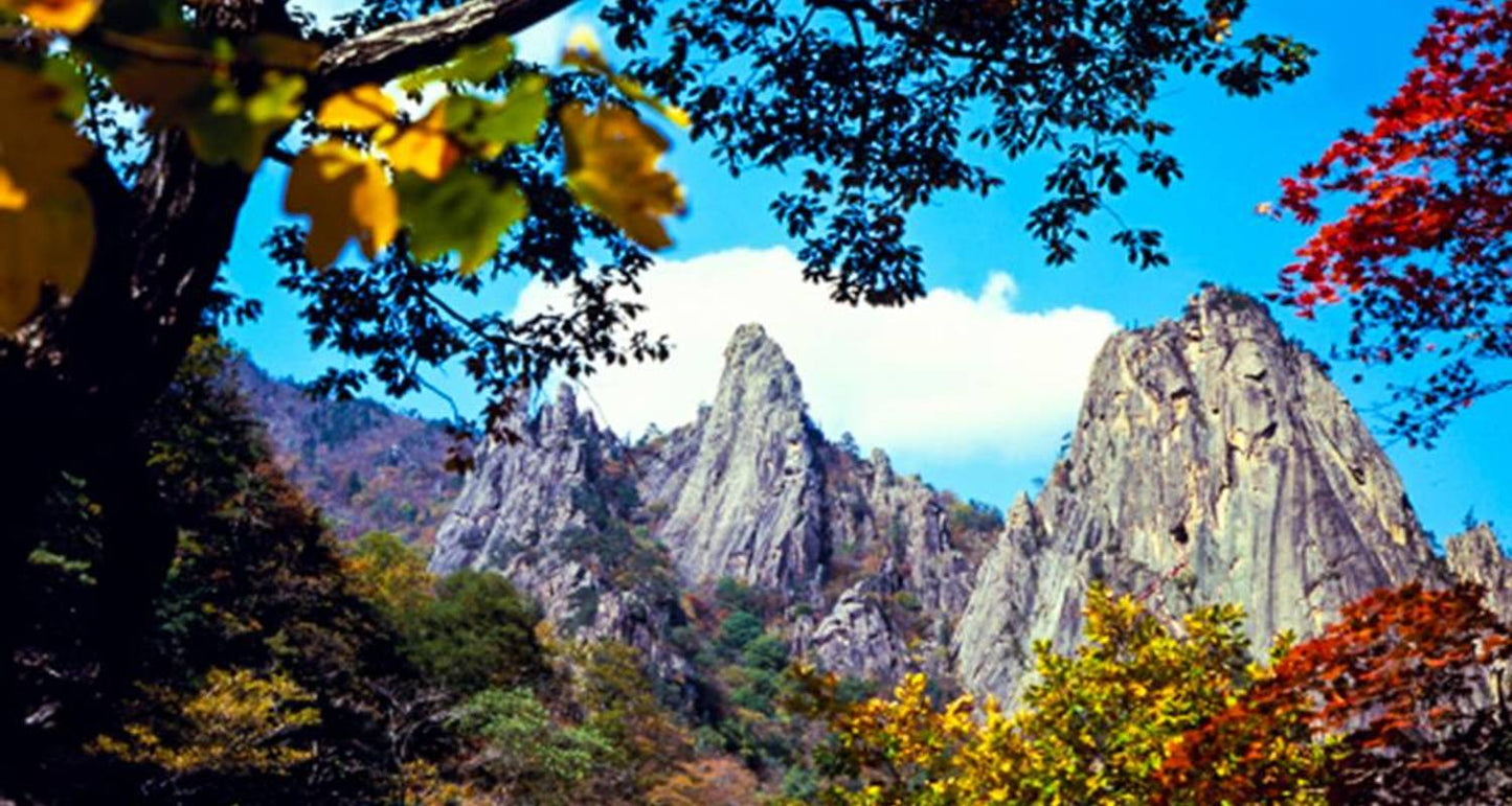 South Korea Circle Adventure 5D/4N
