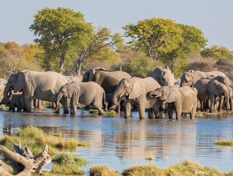 Namibia: Ultimate Honeymoon