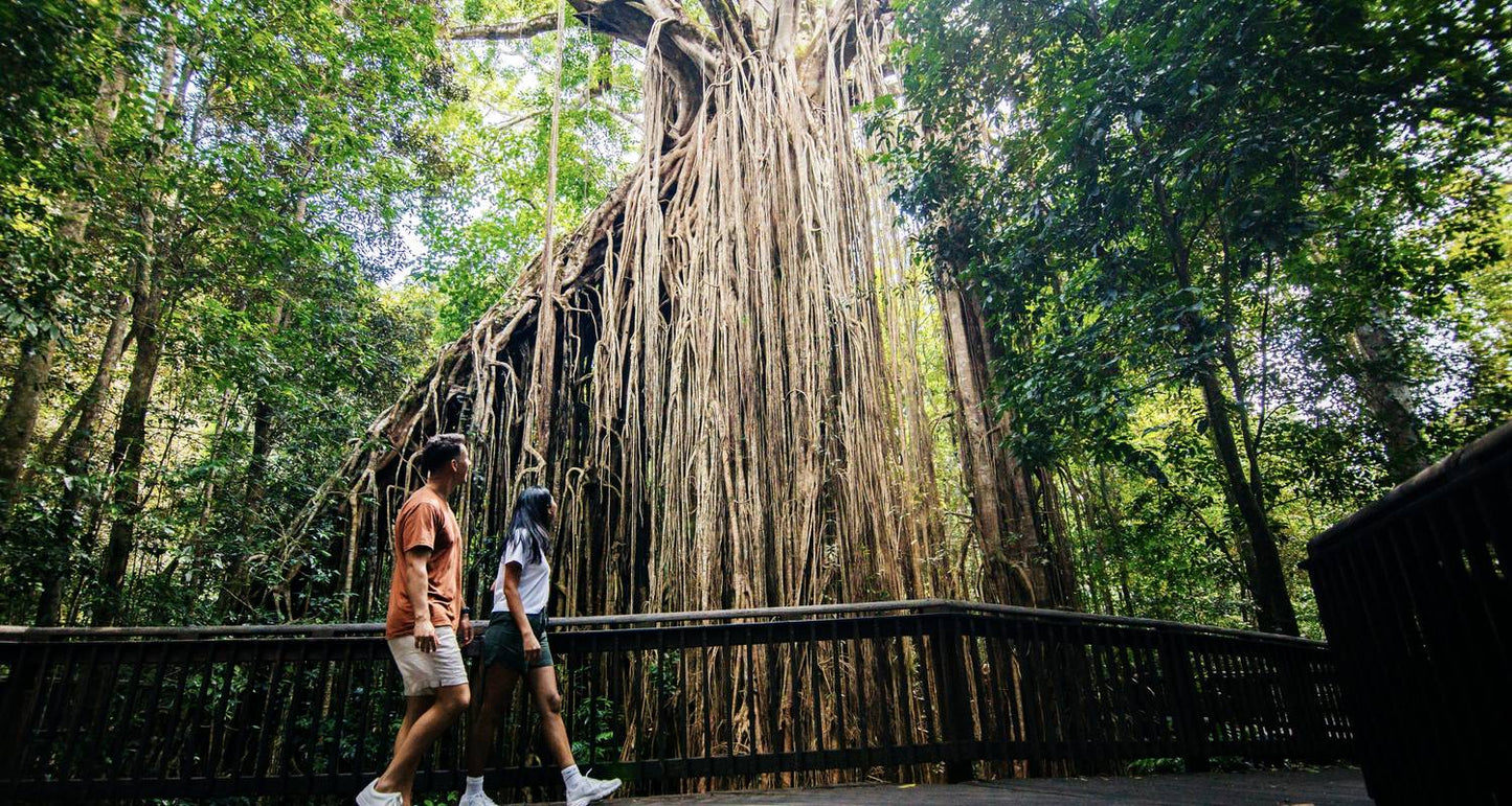 Brisbane to Cairns - 7 Day Boutique Tour
