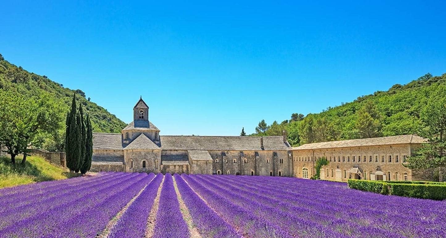 Cycle Provence