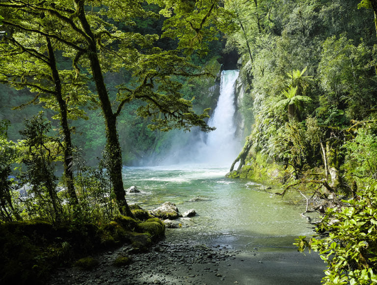 New Zealand: Eco Tour
