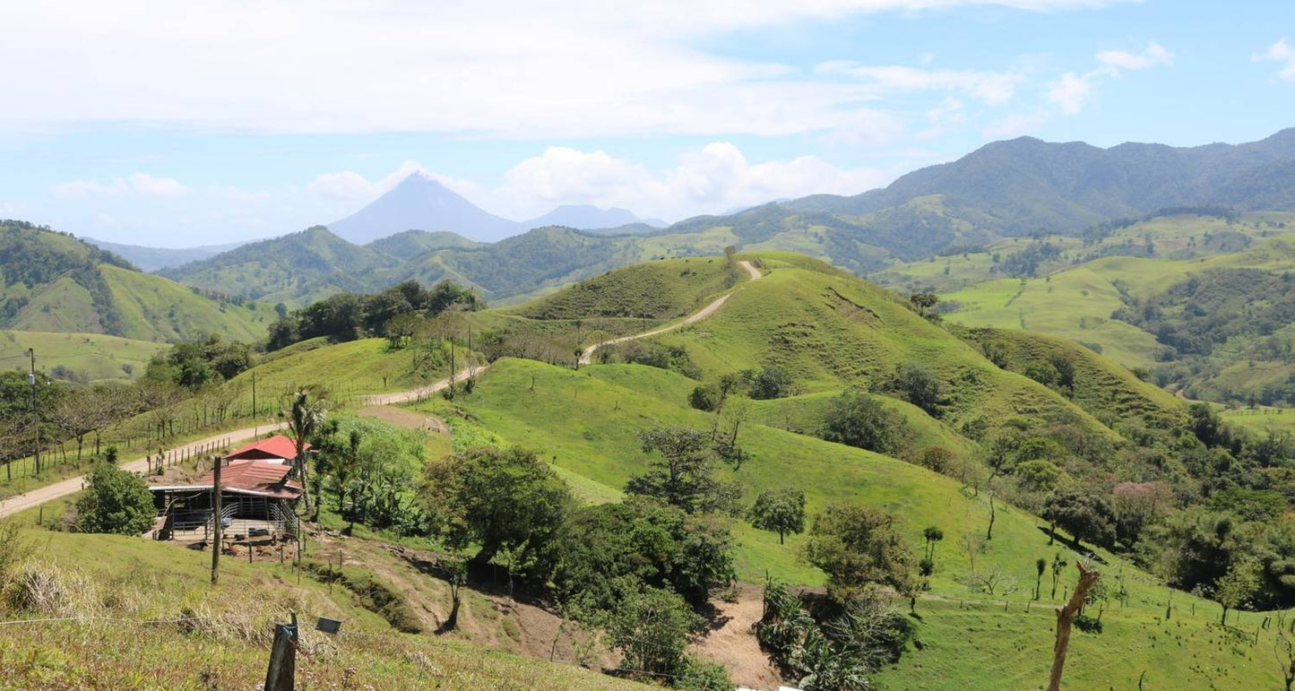 Costa Rica Quest