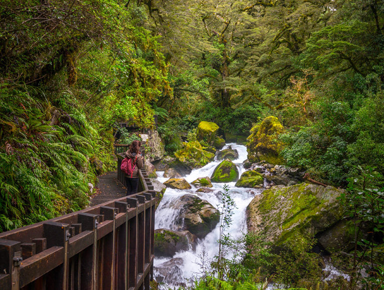 New Zealand: Walking and Wild Luxury
