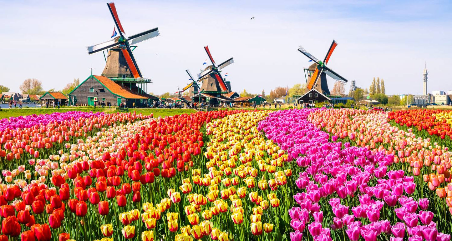 Holland and Belgium Springtime River Cruise