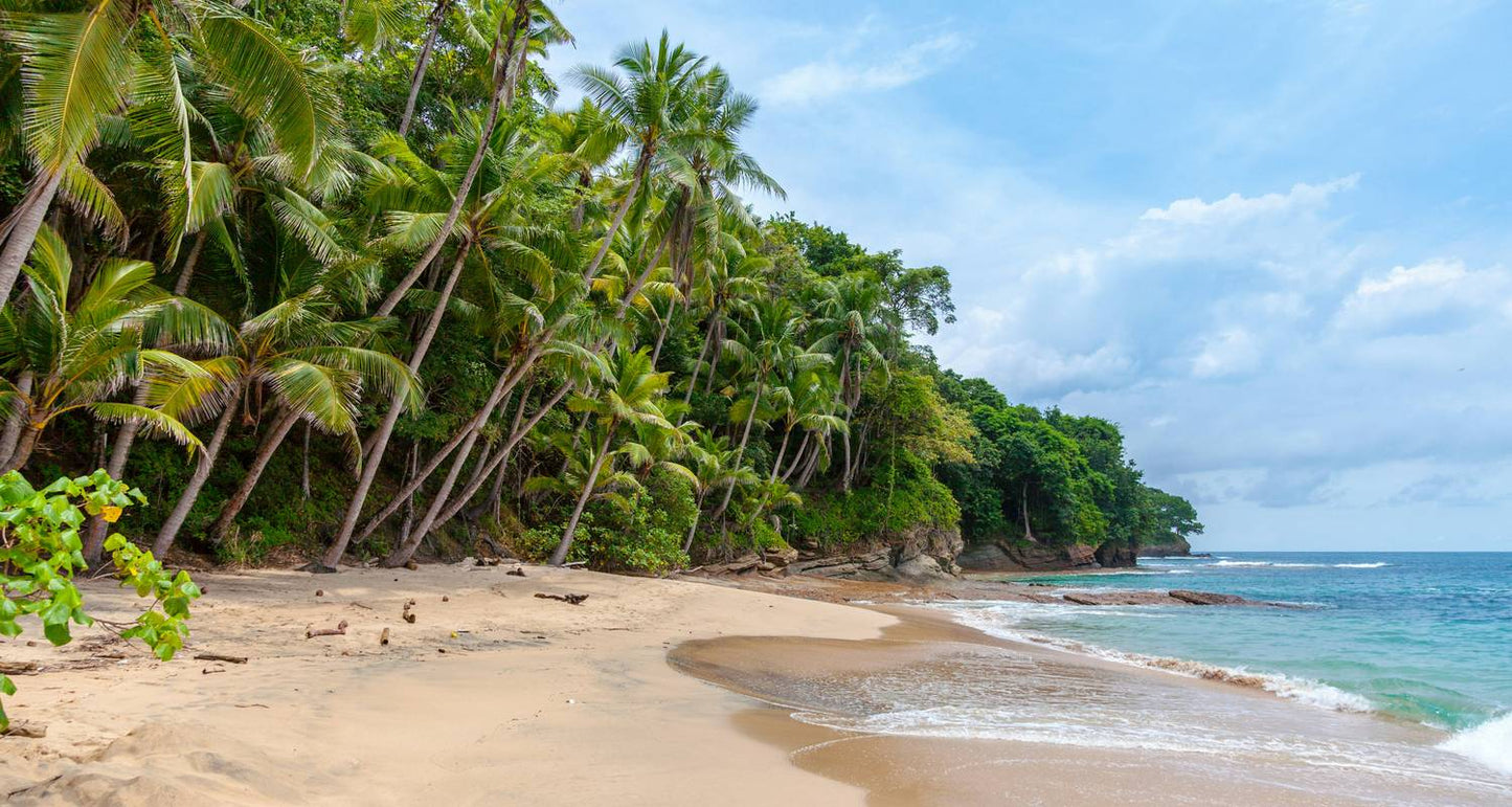 Panama City, Beaches & Mountains 8 Days Tour