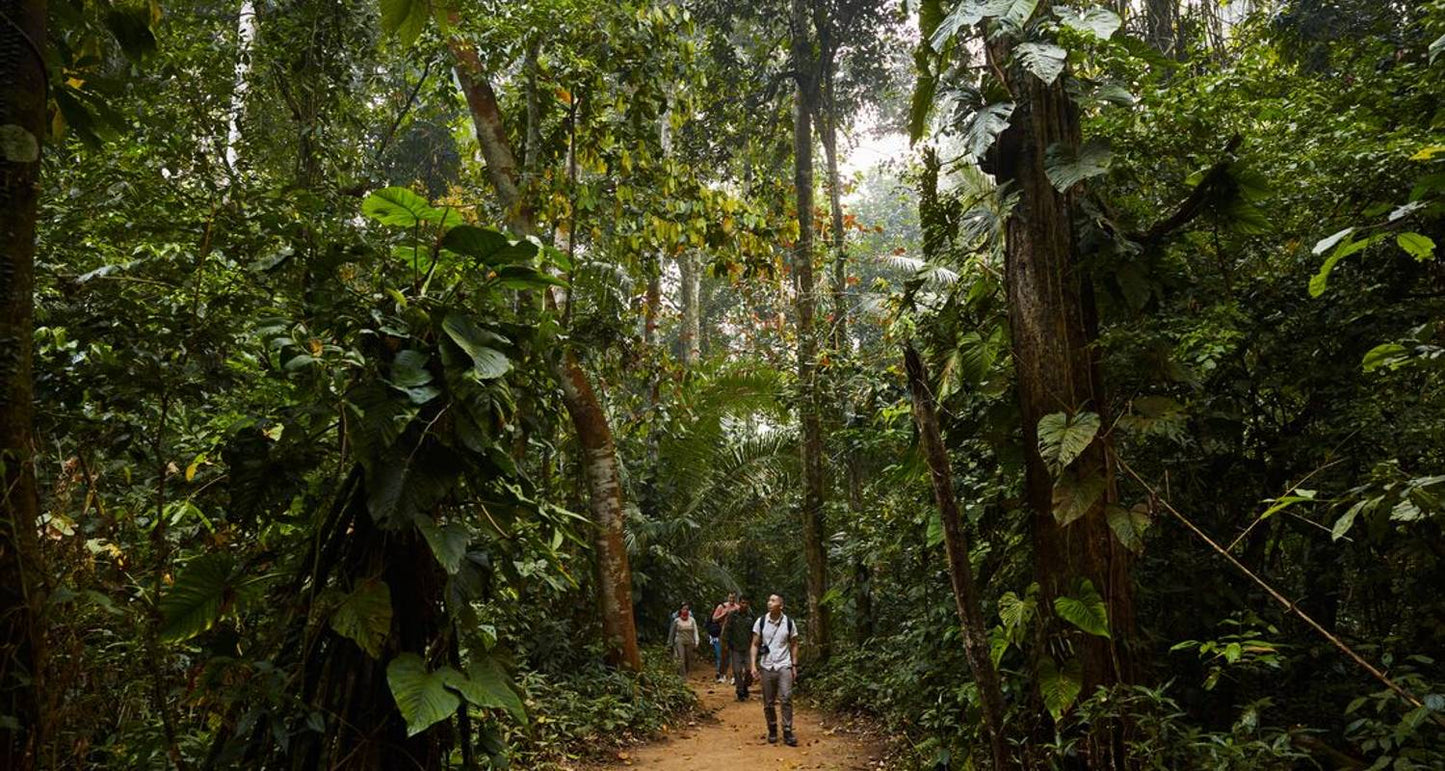 Journey to Peru