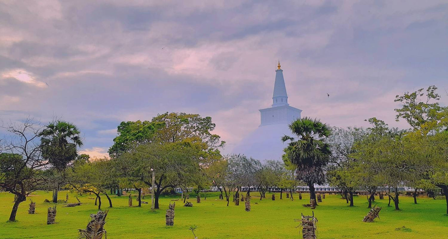 Discover the Best of Sri Lanka: From Coastal Beauty to Cultural Marvels" "Luxury Package "