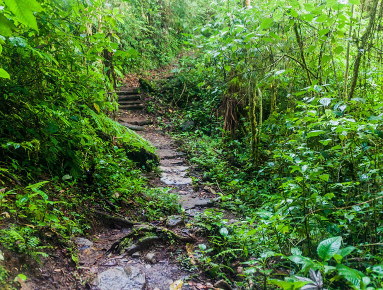 Panama: Family Adventure