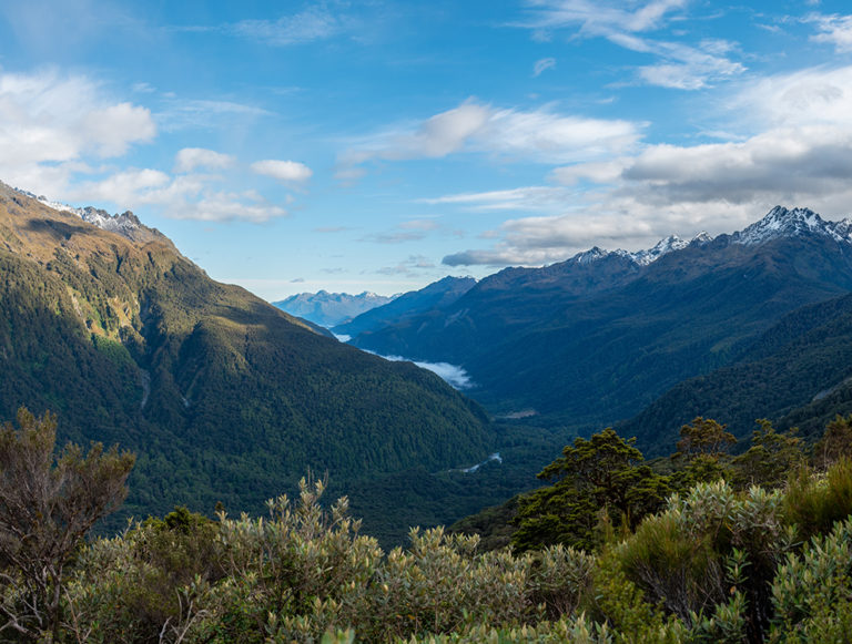 New Zealand: Walking and Wild Luxury