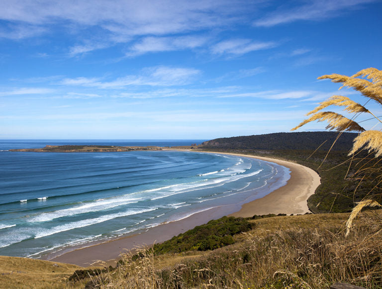 New Zealand: Eco Tour