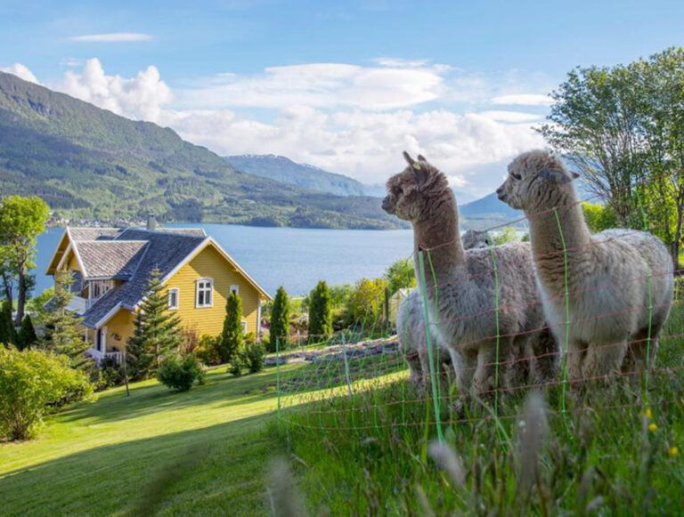 Norway: Family Adventure