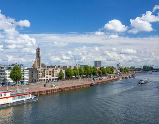 Holland & Belgium in Bloom