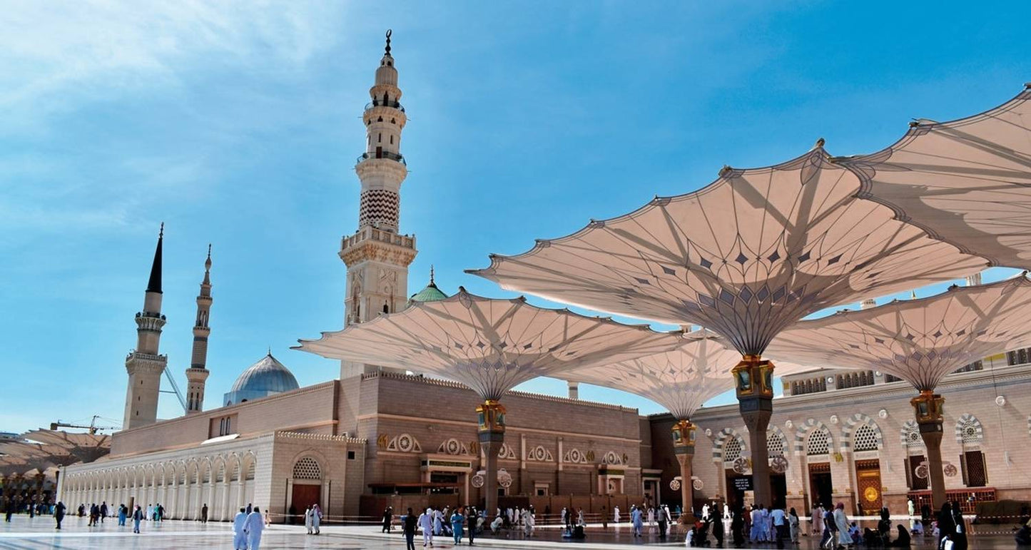 Saudi Arabia's treasures