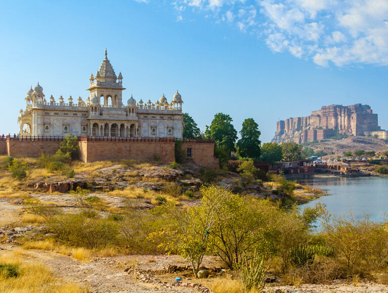 India: The Best of Tigers, History, and Culture