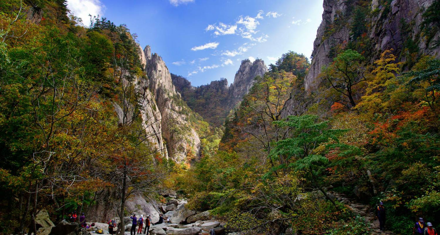 South Korea Highlights 7D/6N