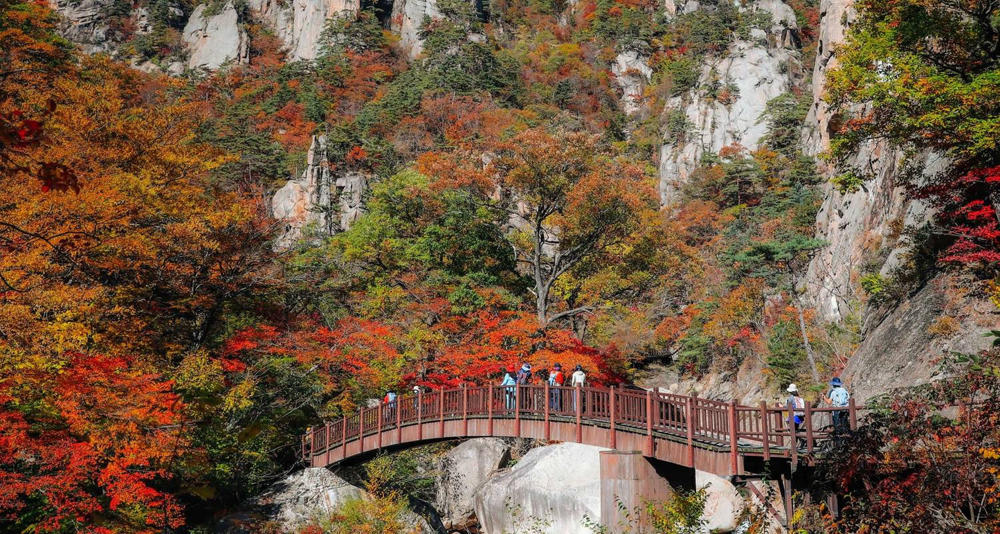 South Korea Circle Adventure 5D/4N