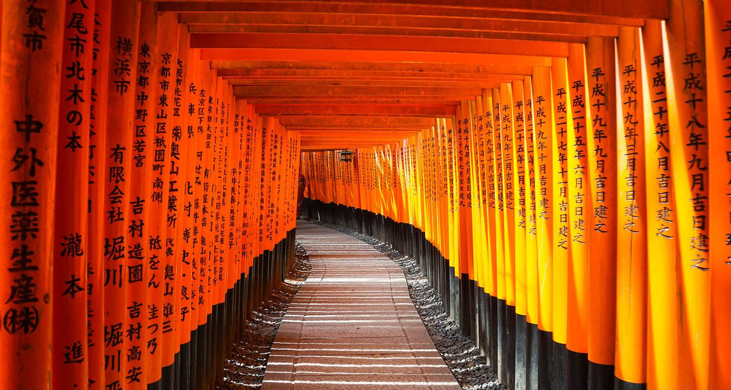 Best of Japan: Tokyo to Osaka (Private Guided)