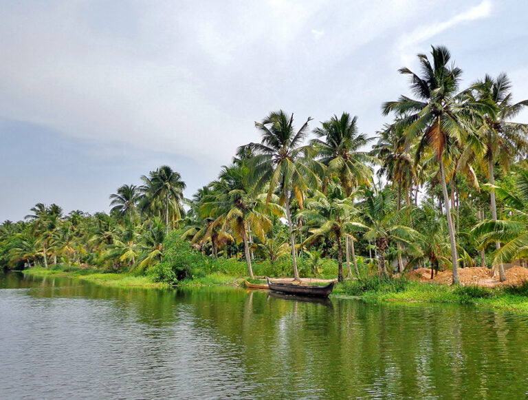 India: Explore Southern India