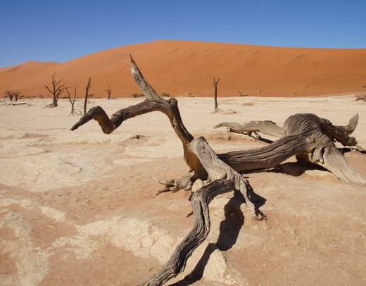 Cycle Namibia
