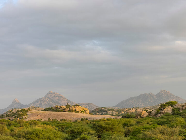 India: The Best of Tigers, History, and Culture