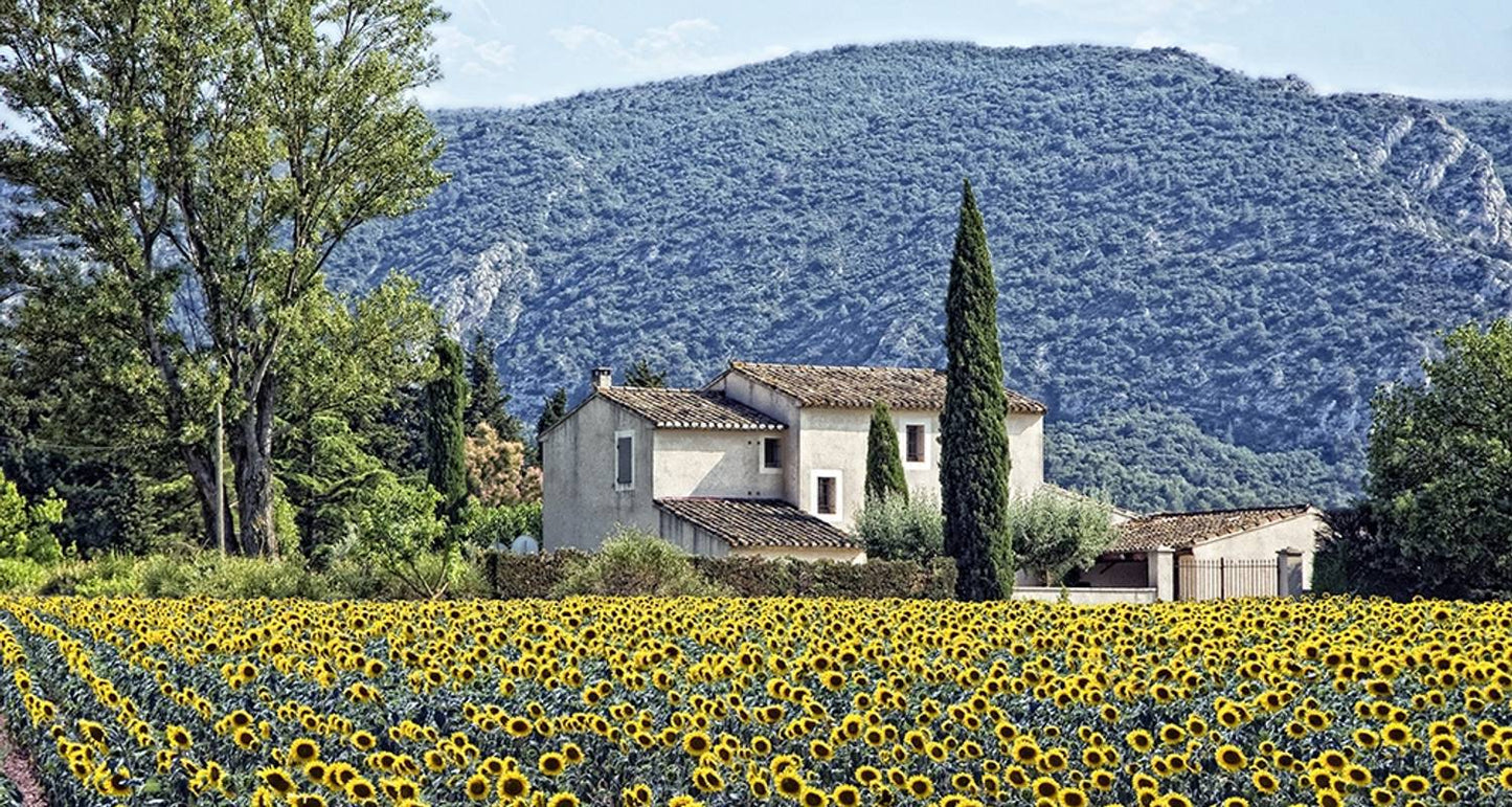 Cycle Provence