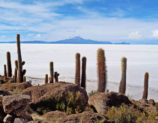 La Paz to Buenos Aires: Andes & the Atacama Desert