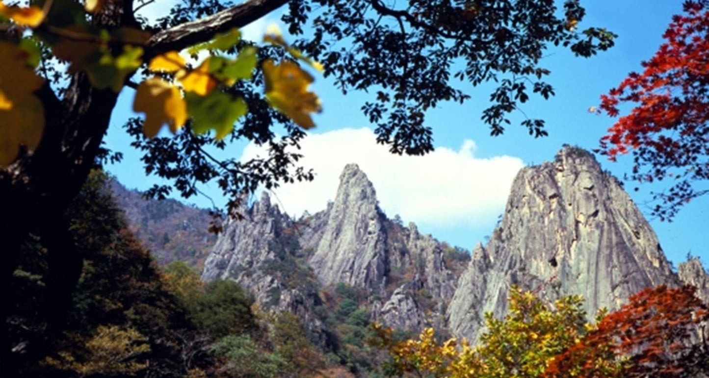 South Korea Circle Adventure 5D/4N