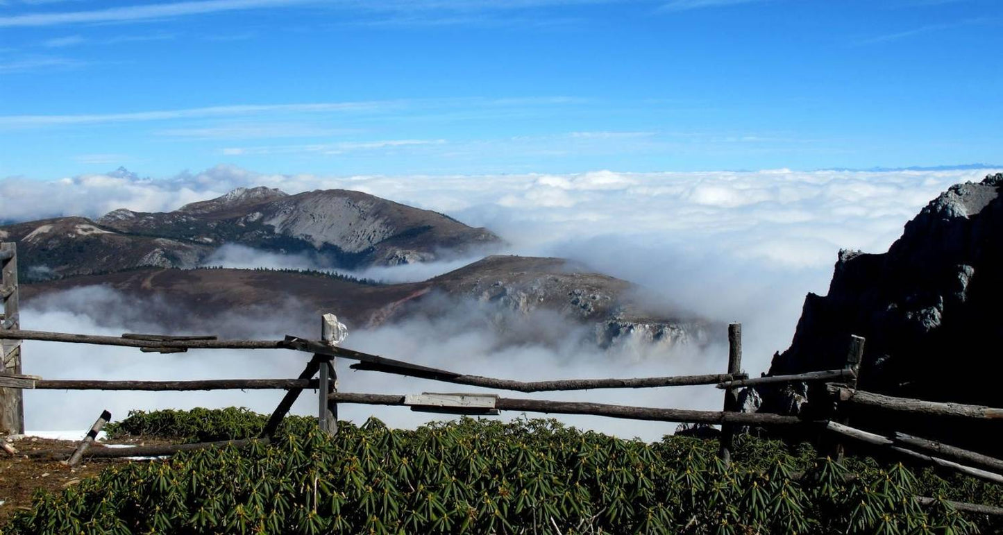 Explore Yunnan (Kunming, Dali, Lijiang, Tiger Leaping Gorge, Shangri-La)