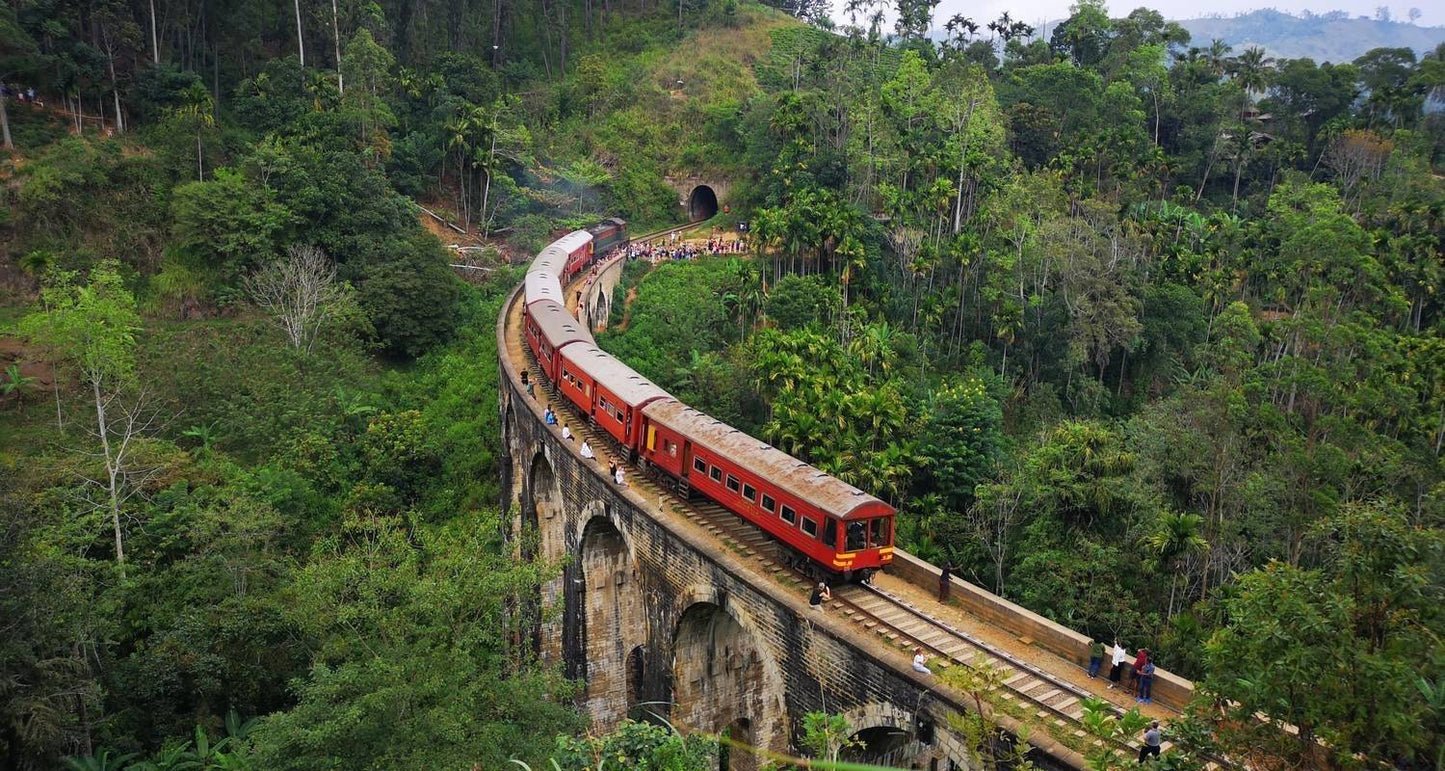 Highlights Tour of Sri Lanka