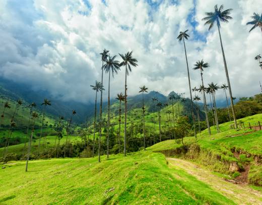 Best of Colombia 11 Days Tour