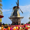 Holland and Belgium Springtime River Cruise