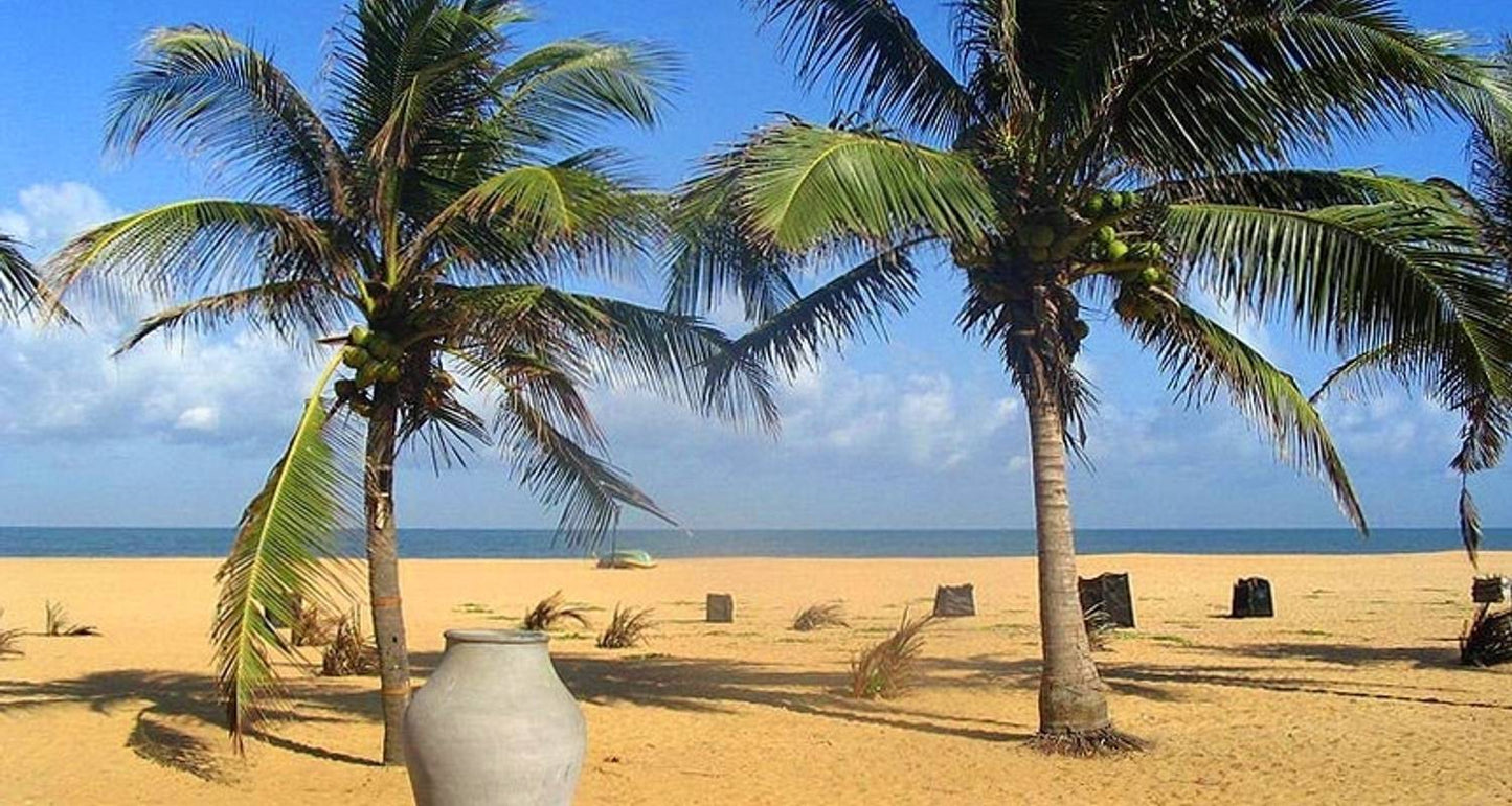 Premium Travel Destinations in Sri Lanka