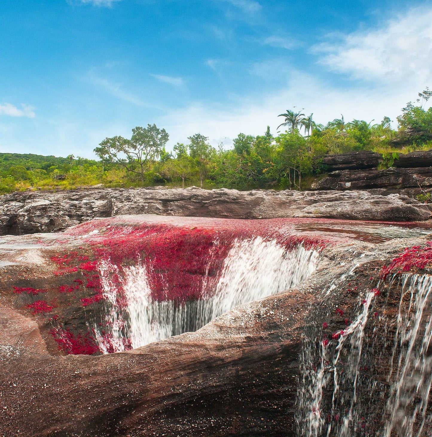 7 Days Rainbow Waters & City Lights - Colombia’s Wonders