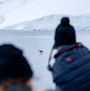 Best of Antarctica: Whale Journey (12 destinations)