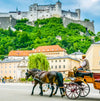 Austria's Best Family Trips