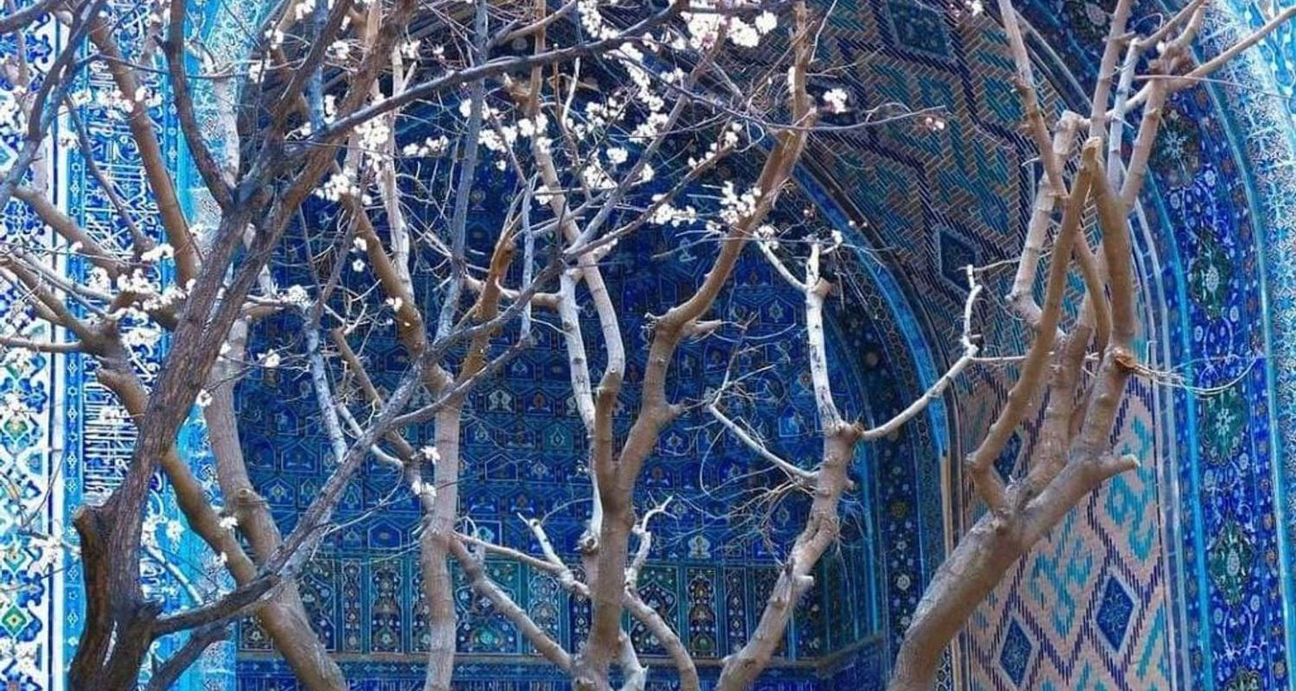 Historical Tour to Uzbekistan 8D/7N