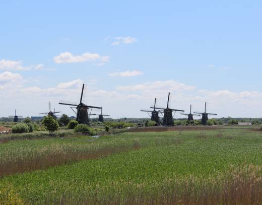Holland and Belgium Springtime River Cruise
