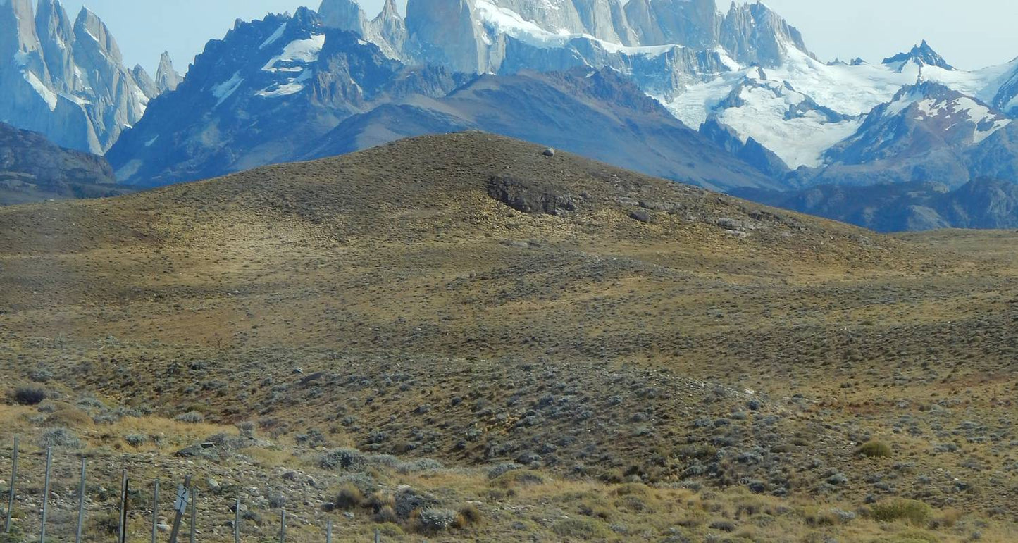 Southern Patagonia: El Calafate, El Chalten & Ushuaia