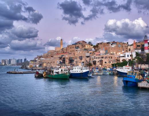 Journey Through the Holy Land with Jordan - Faith-Based Travel