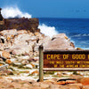 South Africa : Wildlife, Garden Route & Mother City Cape Town