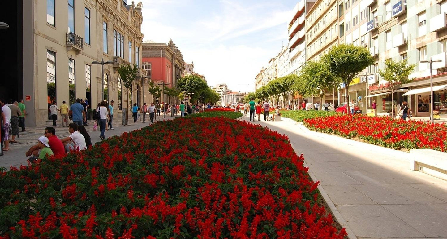 Wonders Of North Portugal