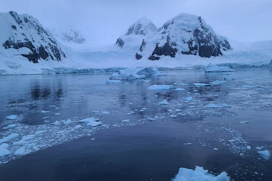 Quest for the Antarctic Circle