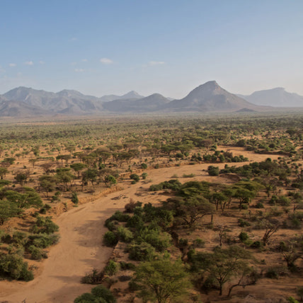 Kenya: Conservation, Community, and Climate Resilience Safari