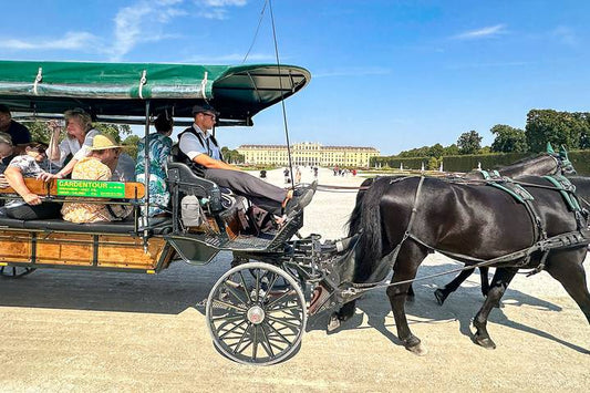 Private Tour of Vienna and Salzburg, Austria